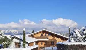 Verkauf Chalet Aeschi bei Spiez