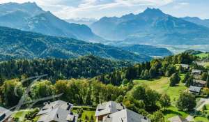 Verkauf Chalet Ollon