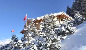 Verkauf Chalet Saanen