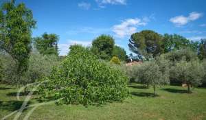 Verkauf Haus Mougins