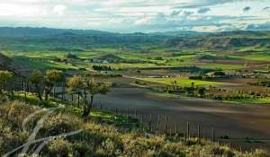 Verkauf Weingut Cuenca