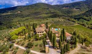 Verkauf Weingut Greve in Chianti