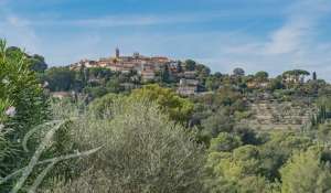 Vermietung Einzelhandel Mougins